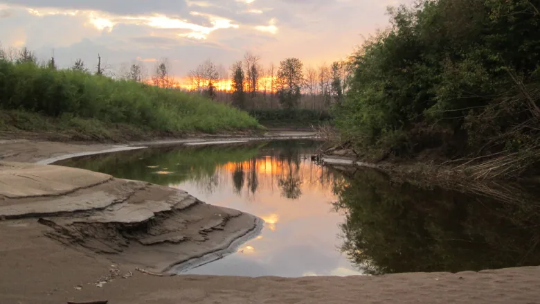 Is Wood Buffalo National Park 'in danger'? UNESCO investigators are in Canada to find out