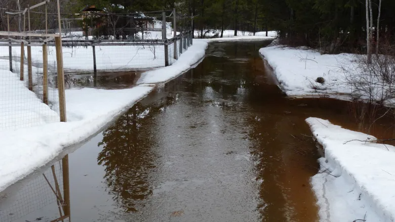 B.C. agrees to pay $300K to couple who say logging flooded their property