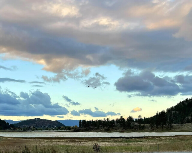 Saltwater lake in Kelowna losing salinity, putting rare ecosystem at risk