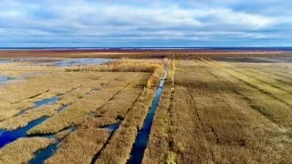 A second chance to protect wetlands