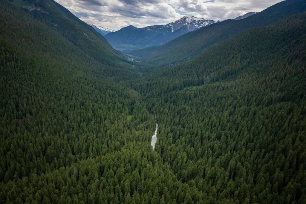 1 down, 168 to go: Environmentalists call for province to protect 30% of land by 2030