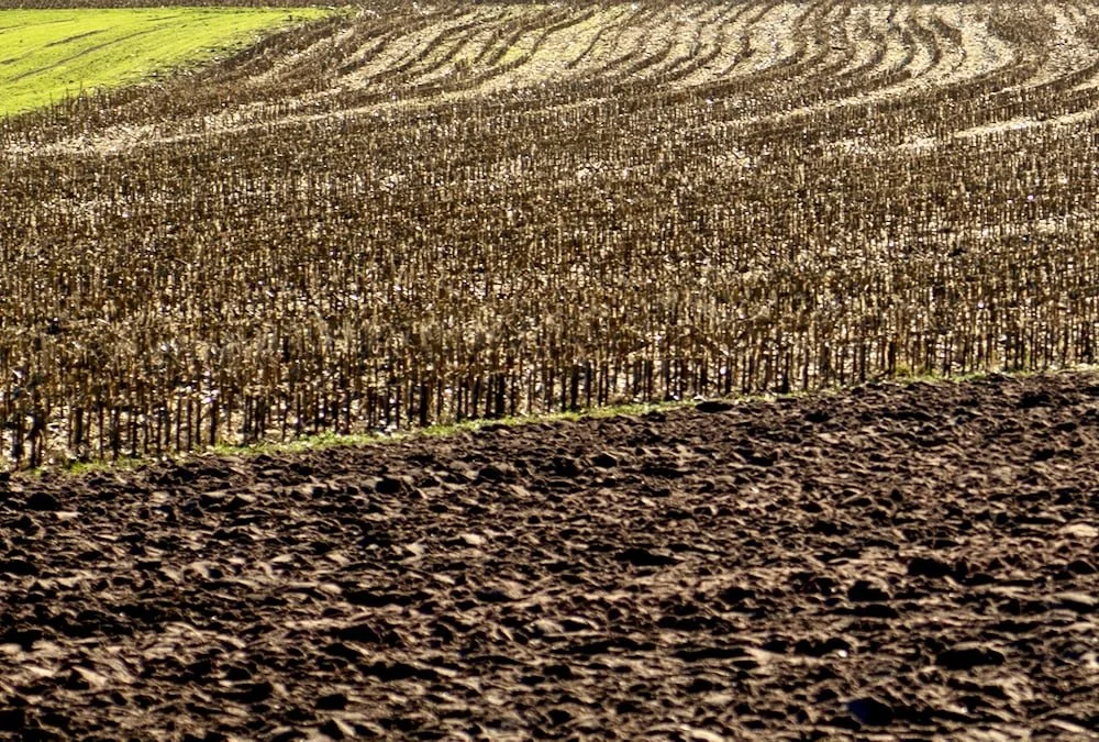 How to understand and measure soil water