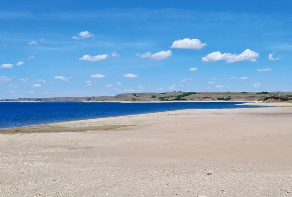 Are the reservoir dog days ending?