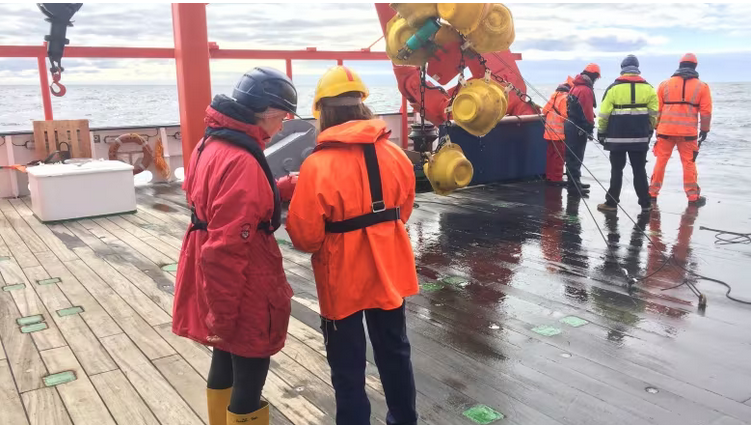 Ottawa grants $154M to Dalhousie-led study on North Atlantic and climate change