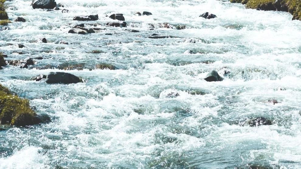 UK Watchdog Bans Water Company Advert Over Pollution Record