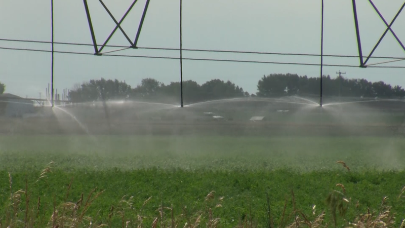 Water use restriction issued for County of Newell