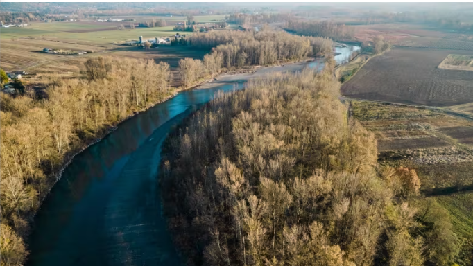 Province confirms poor water quality in Washington state river is coming from B.C.