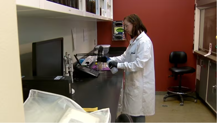 Monitoring Alberta's wastewater could help drug users avoid harm. Here's how.