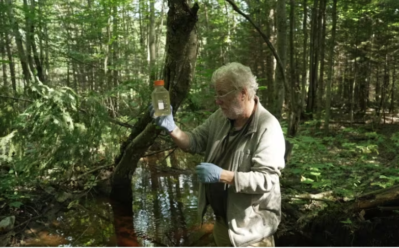 Residents in Trois-Rivières, Que., have a recycling plant for a neighbour. They say it's far from green