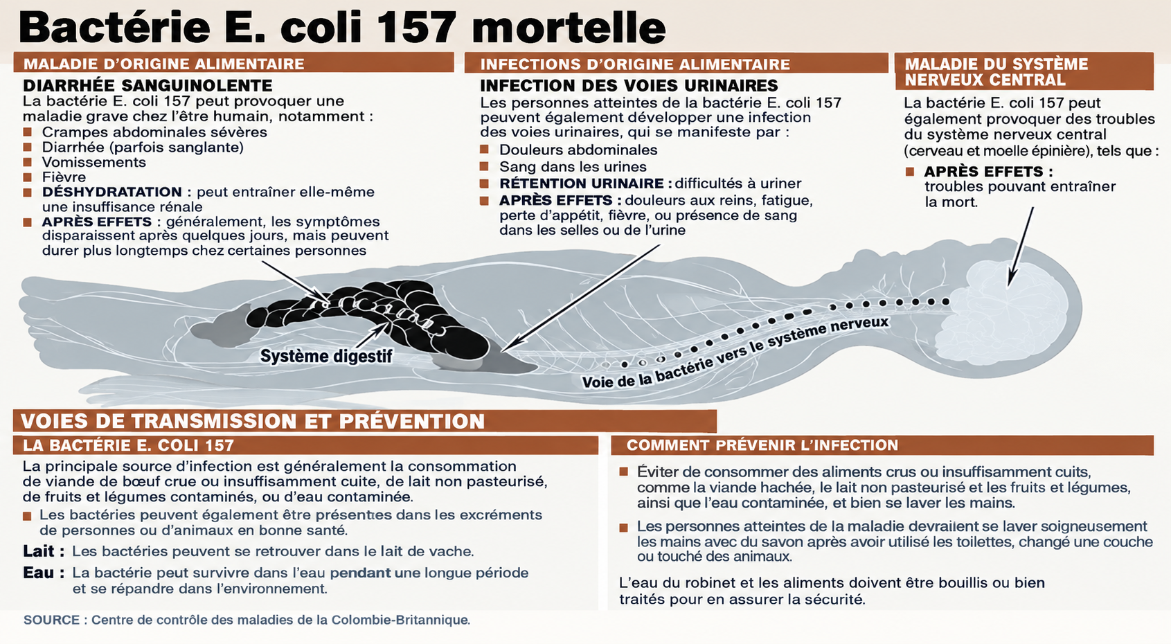 Explique comment la bactérie E. coli 157 peut être mortelle.