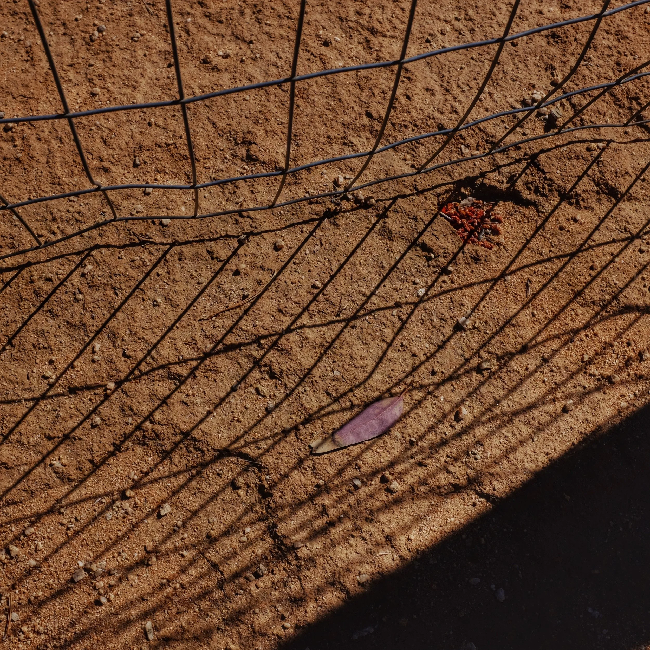 Picture of the Day - 05.28.15