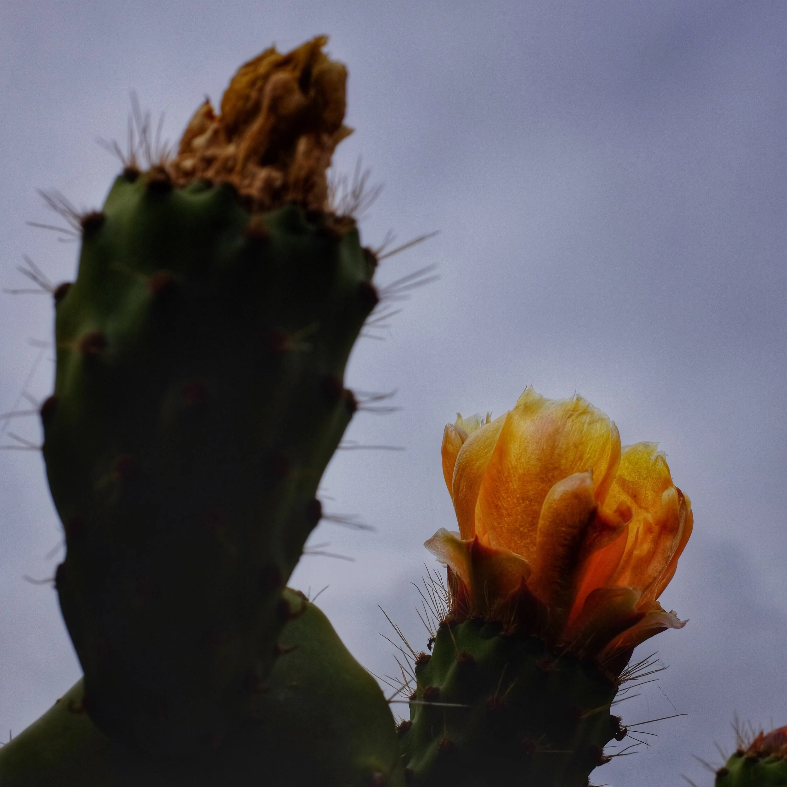 Picture of the Day - 05.10.15