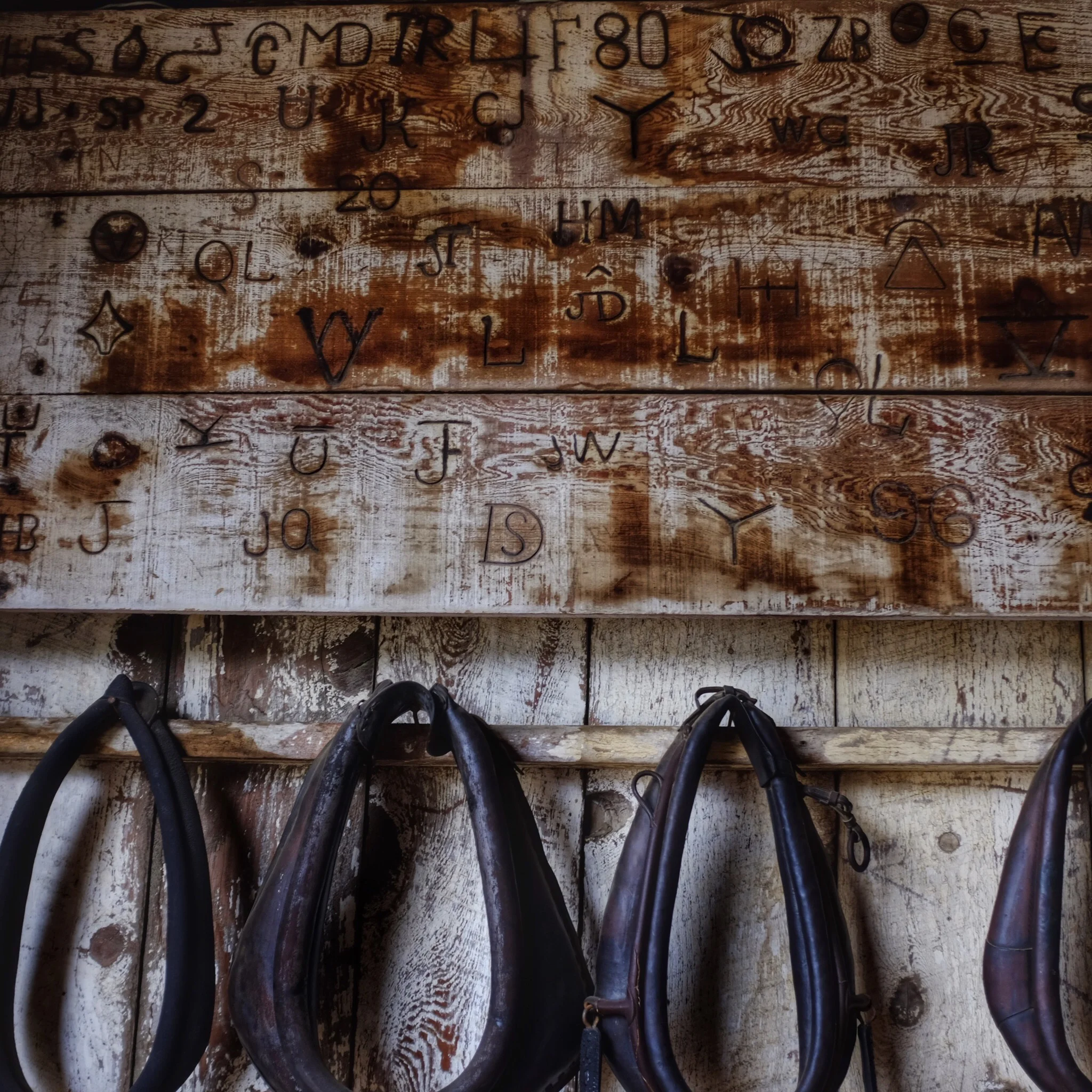 Picture of the Day - 04.29.15
