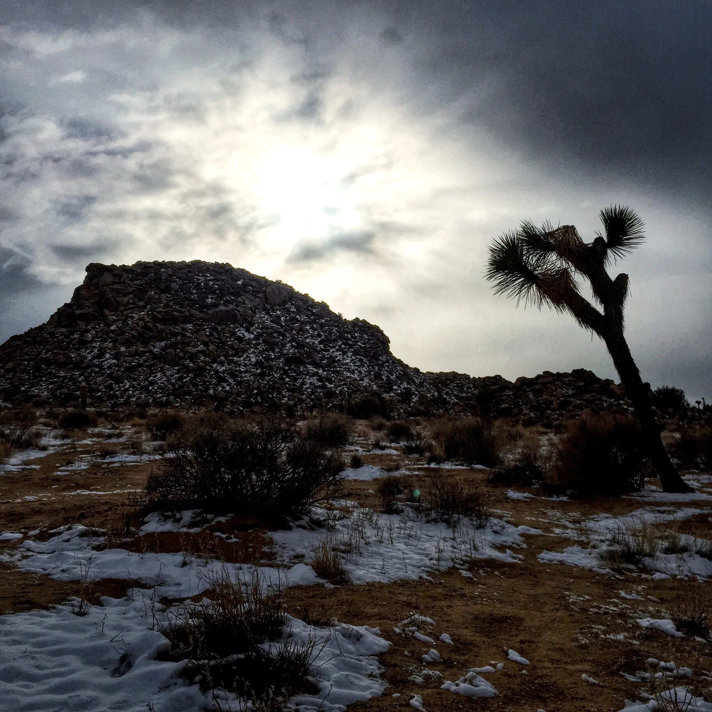 Picture of the Day - 02.28.15