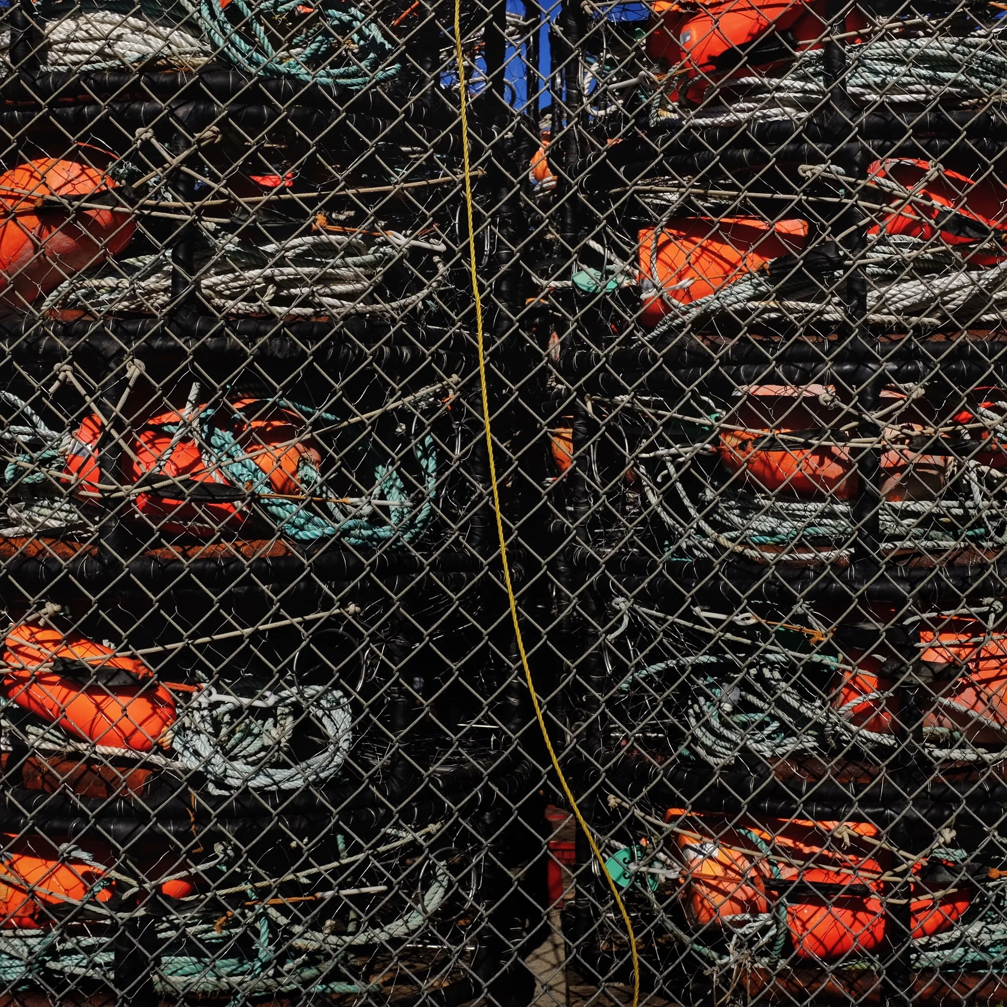 Picture of the Day - 02.24.15