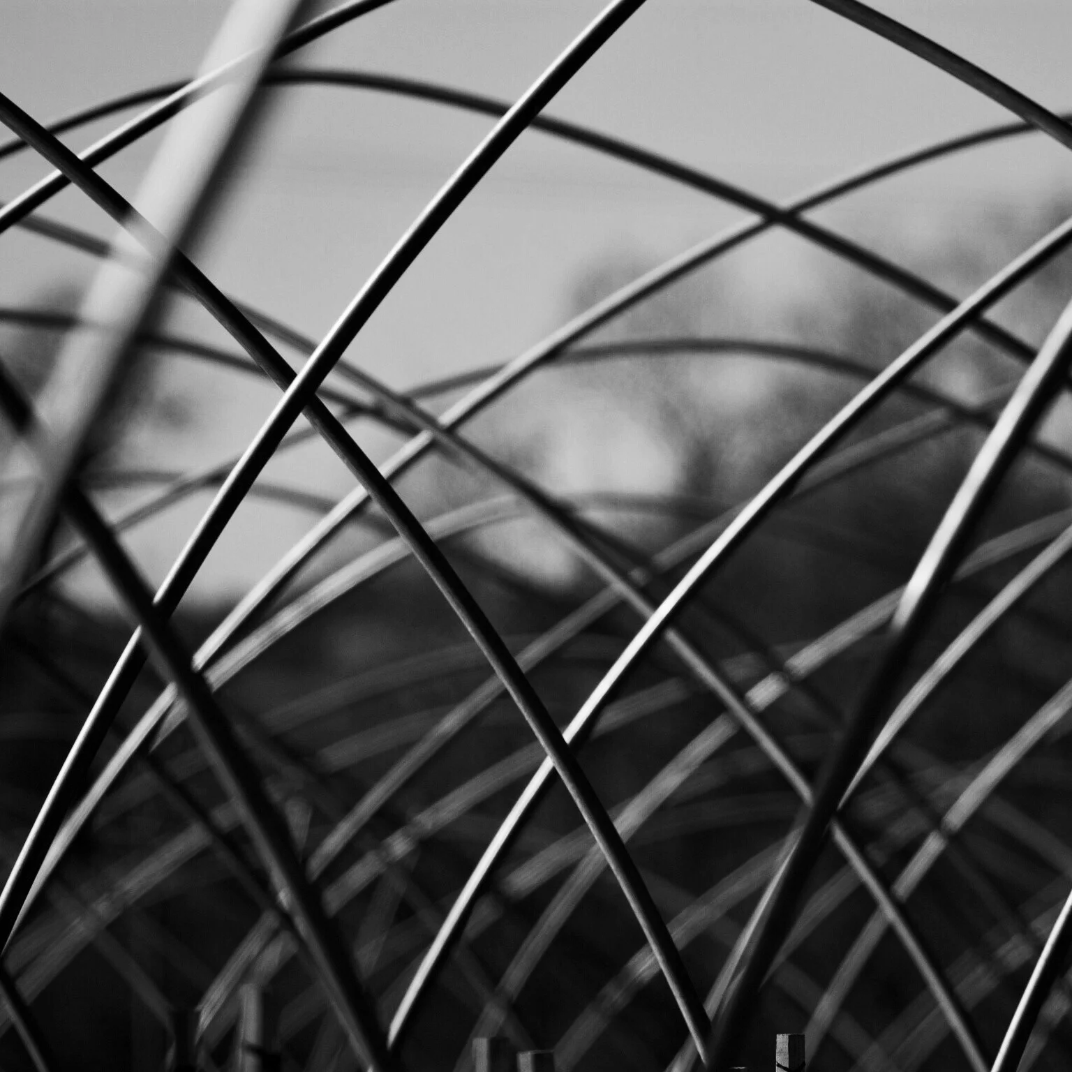 Picture of the Day - 02.18.15