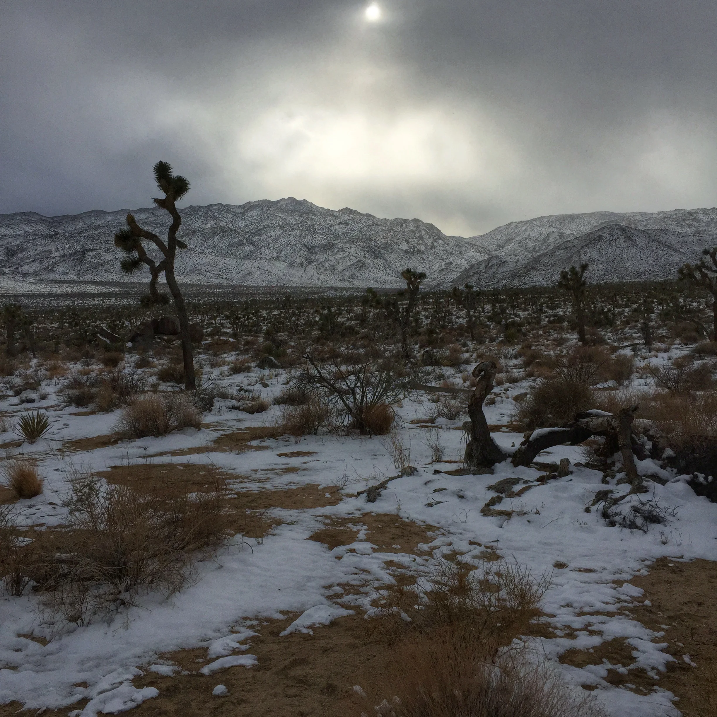 Picture of the Day - 01.01.15