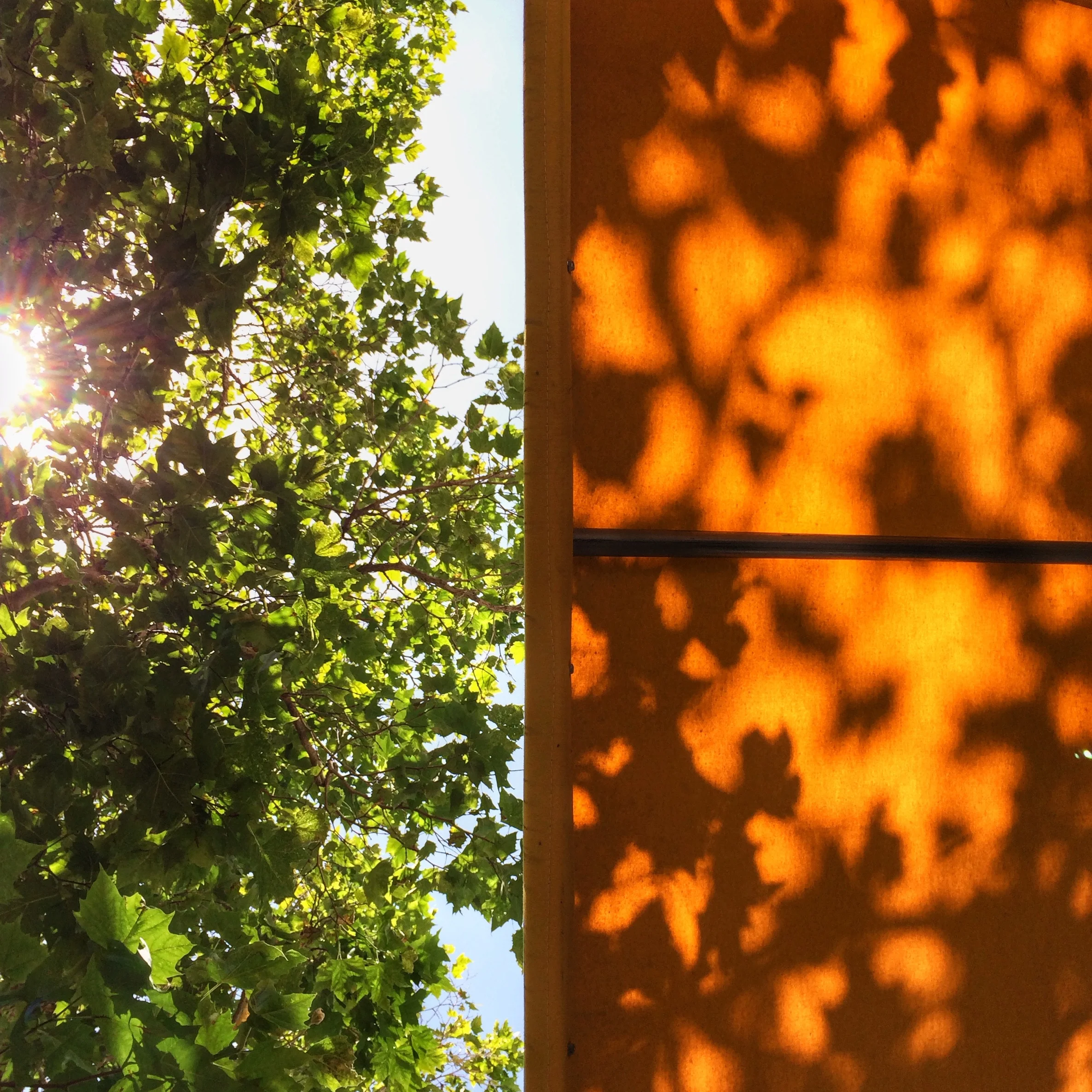 Picture of the Day - 05.26.14