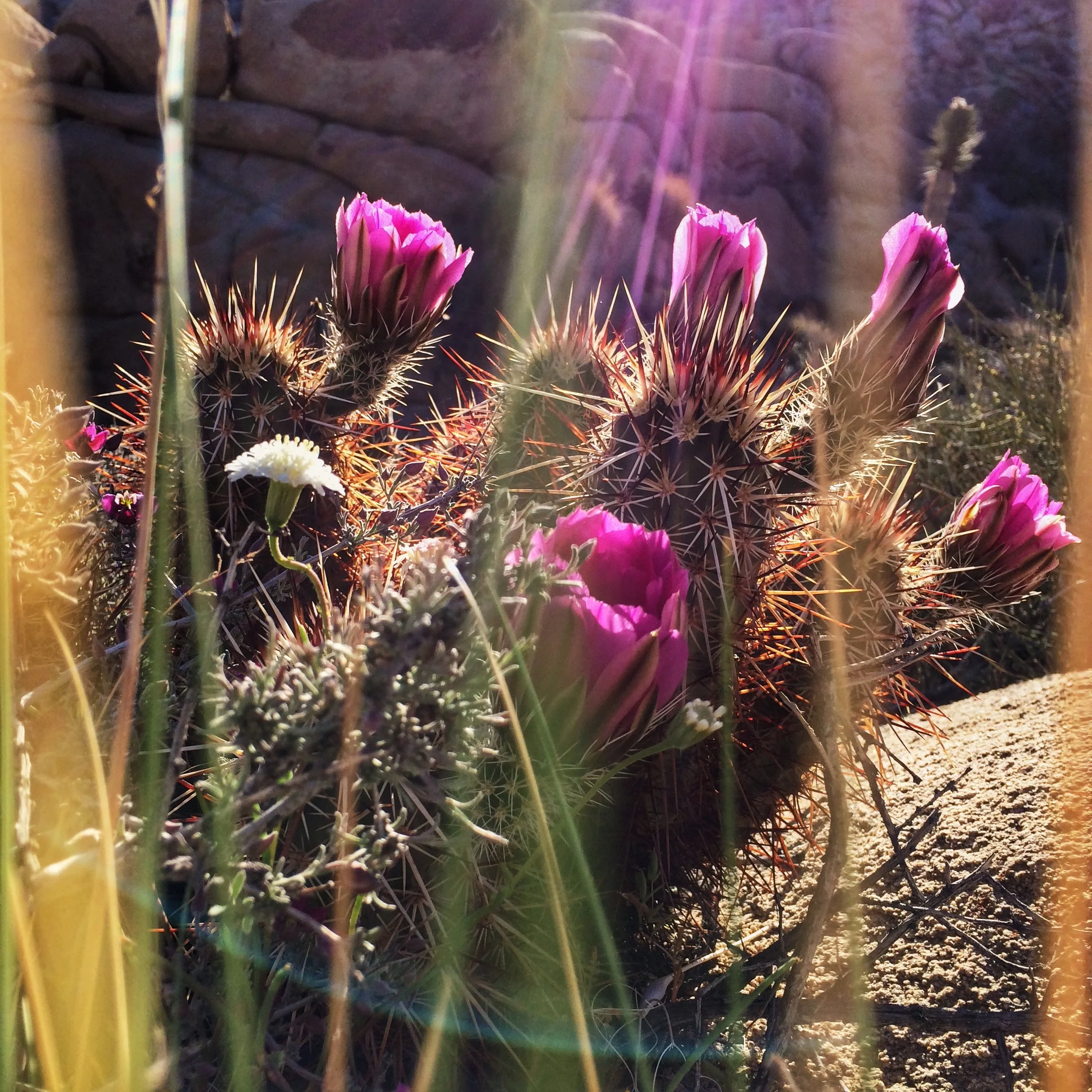 Picture of the Day - 04.13.14