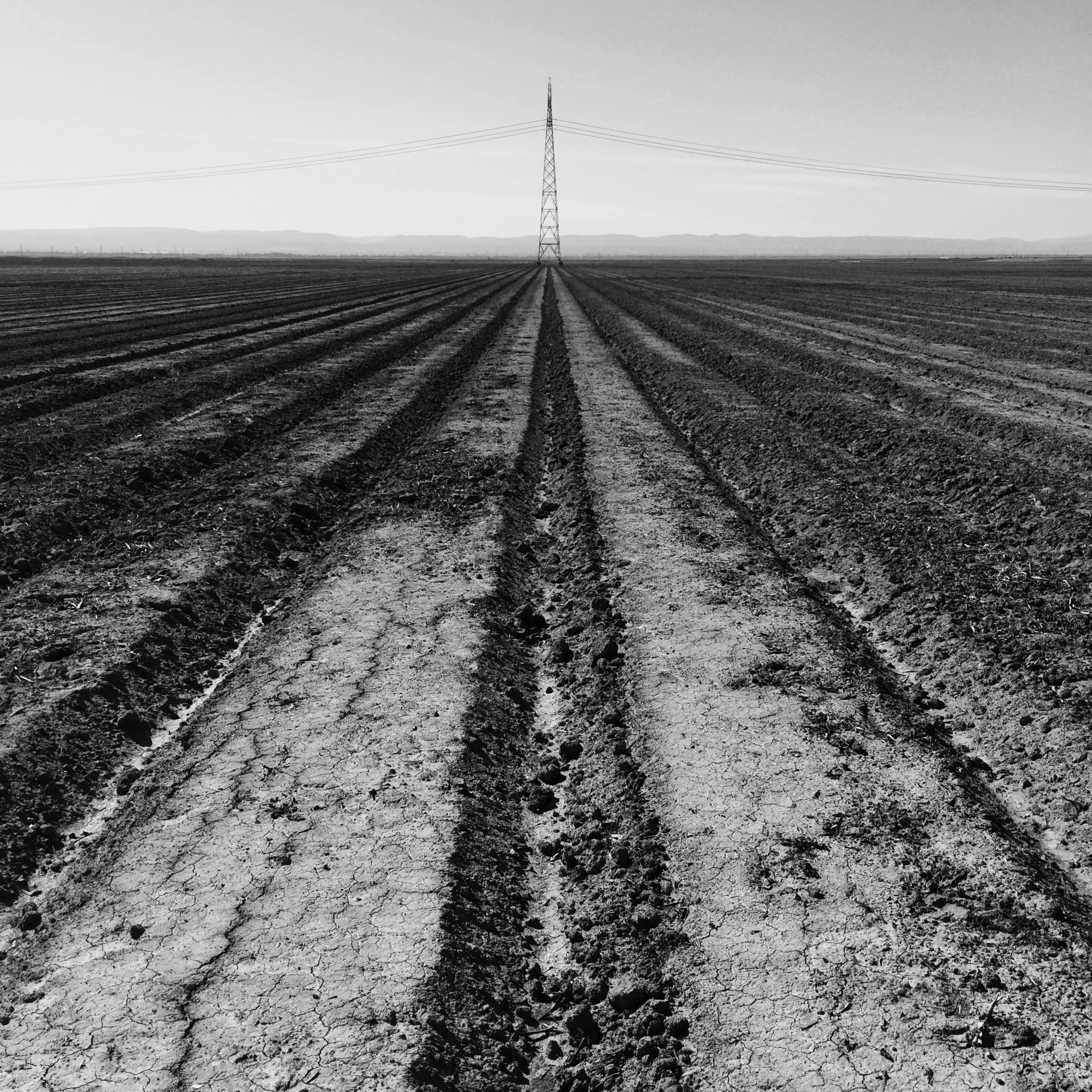 Picture of the Day - 04.04.14