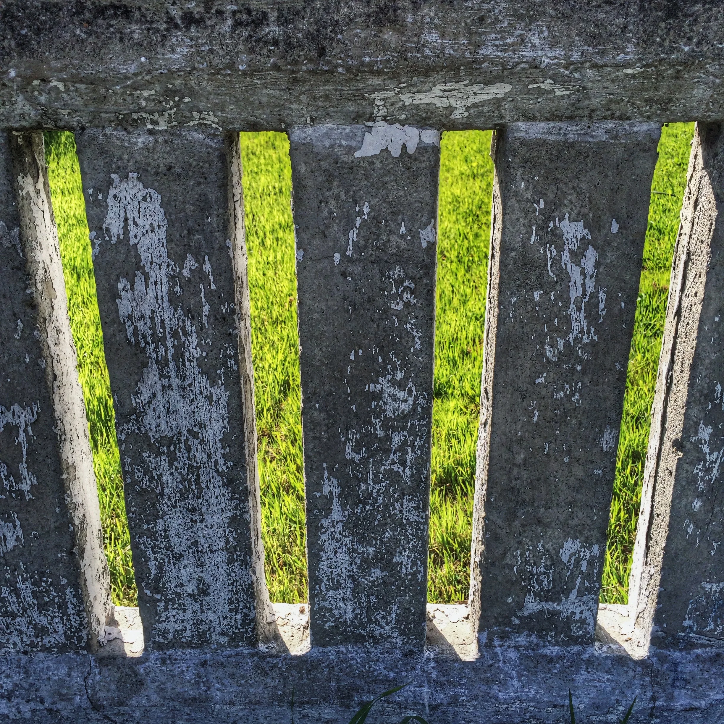 Picture of the Day - 03.24.14