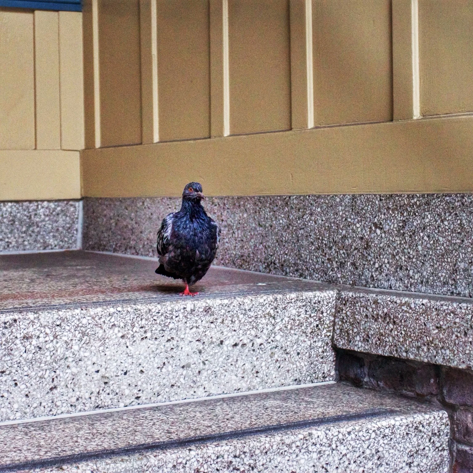 Picture of the Day - 03.19.14