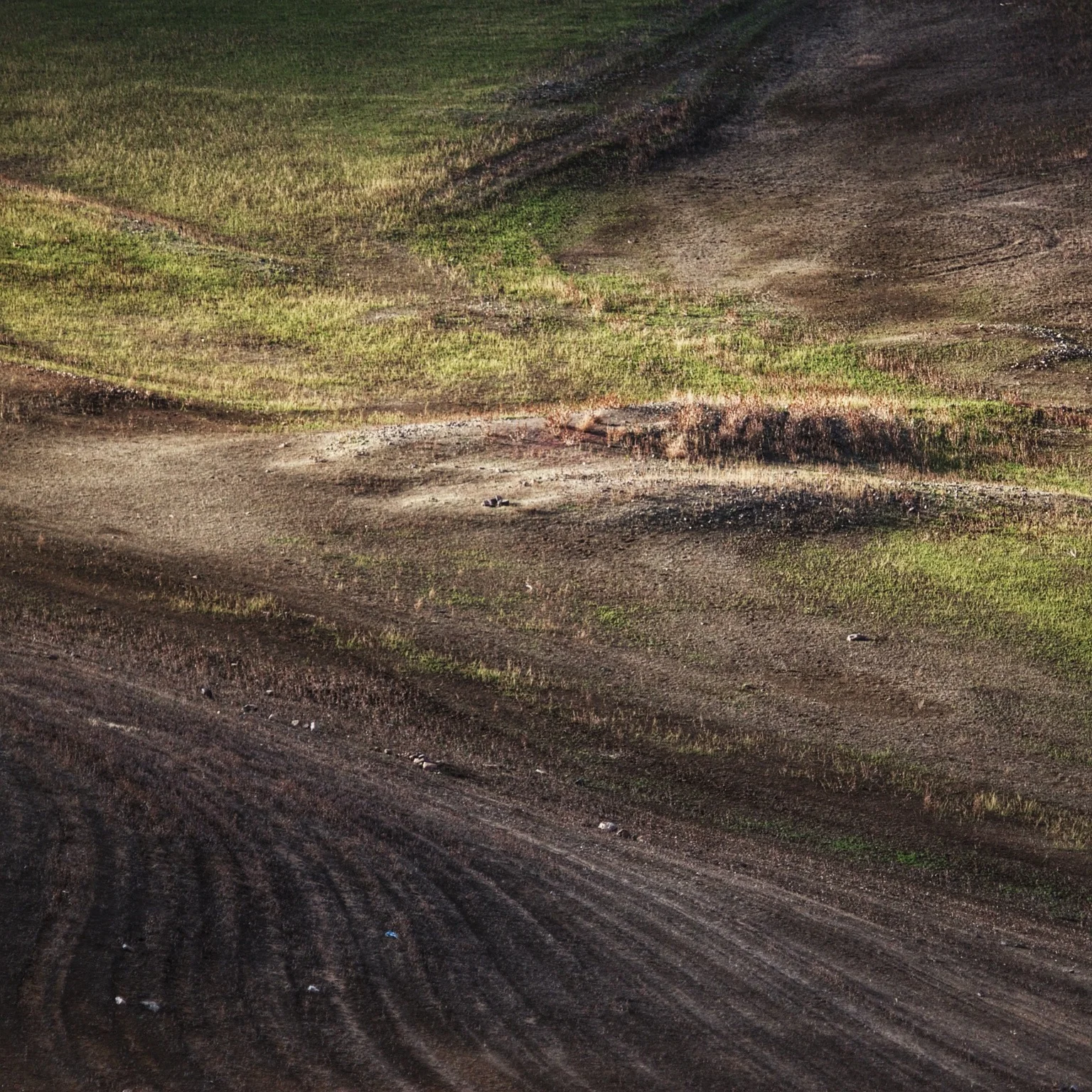 Picture of the Day - 03.02.14