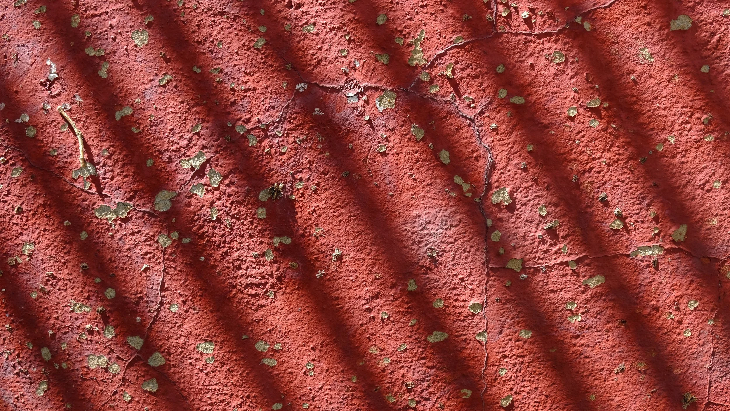 Picture for Today - 06.05.18