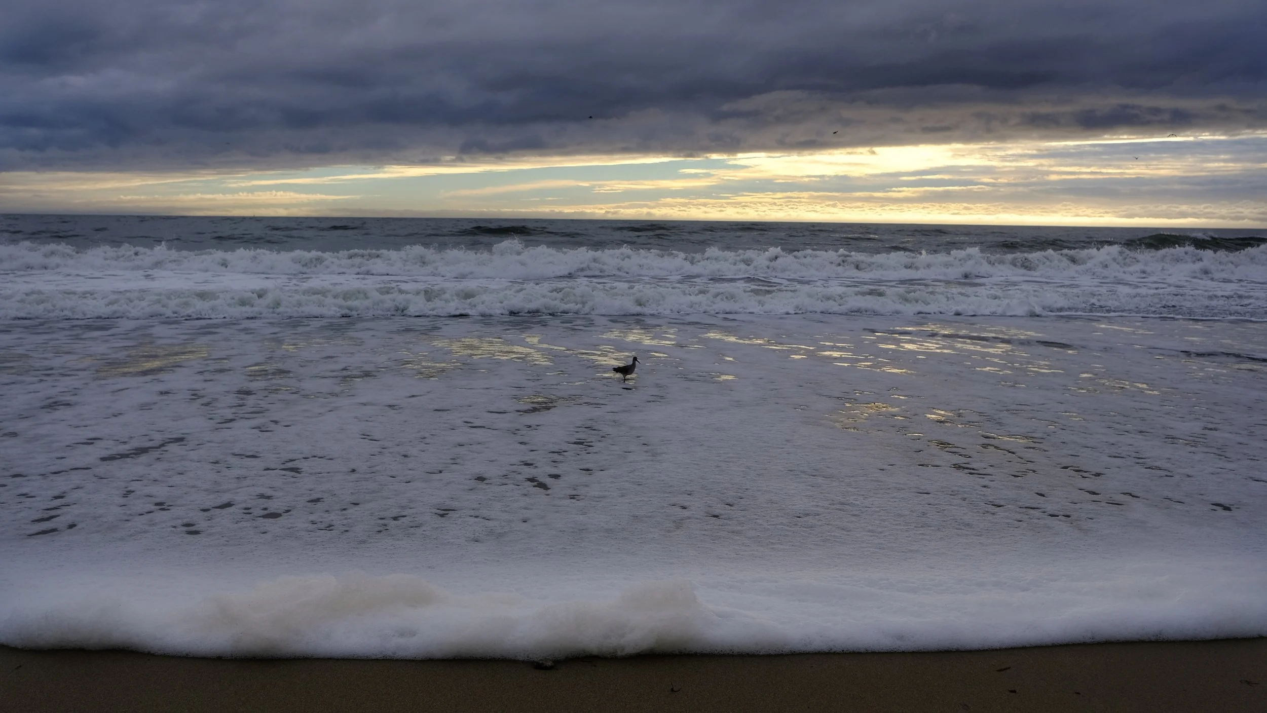 Picture for Today - 03.22.19