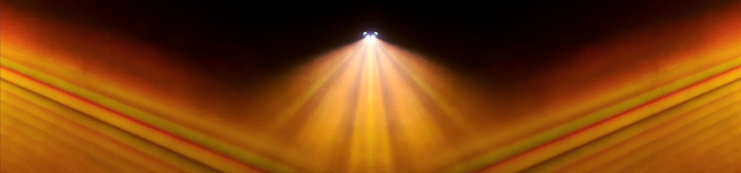 Photo Courtesy of Maja Petric