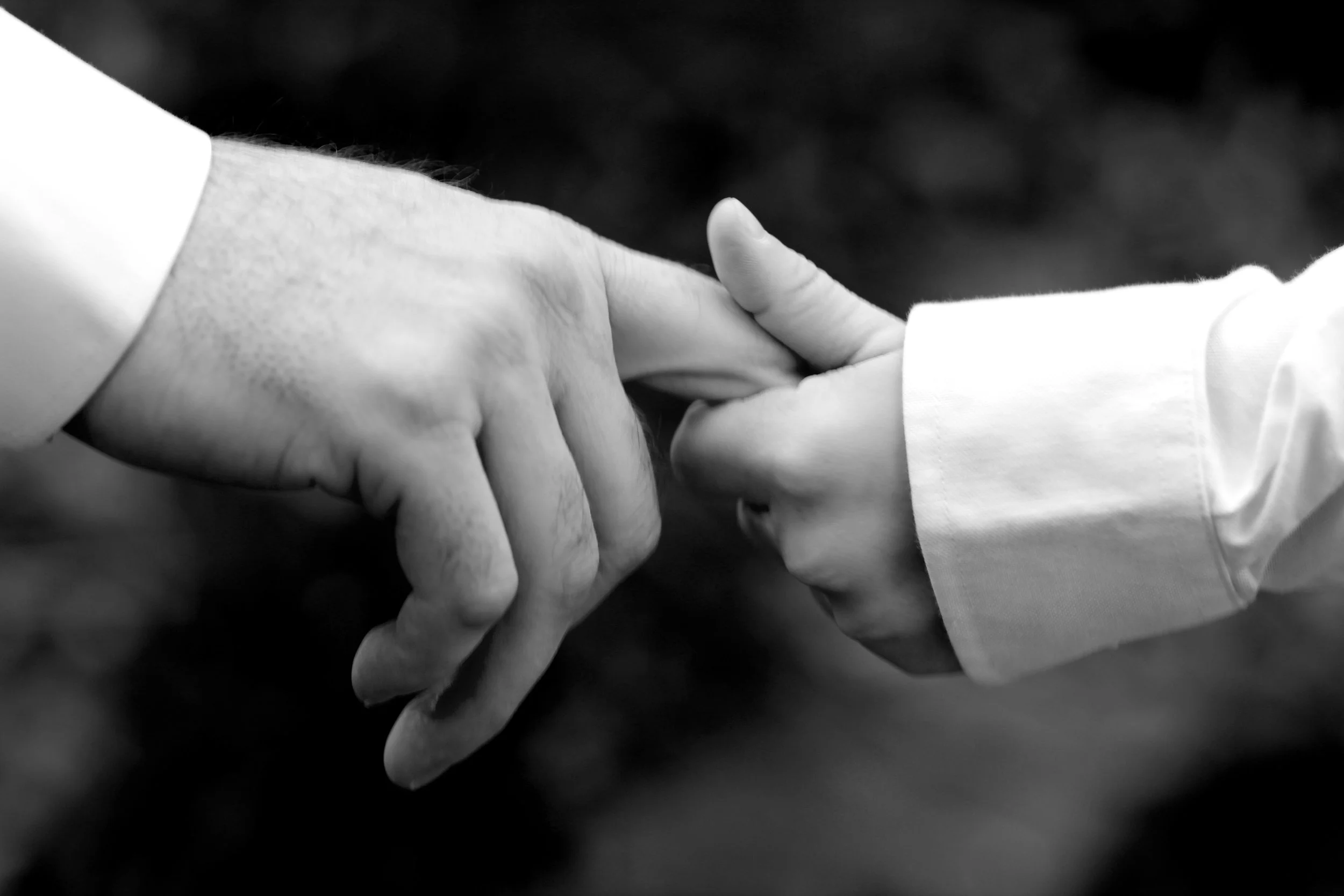 IMG_8163_2 - Version 2.JPG