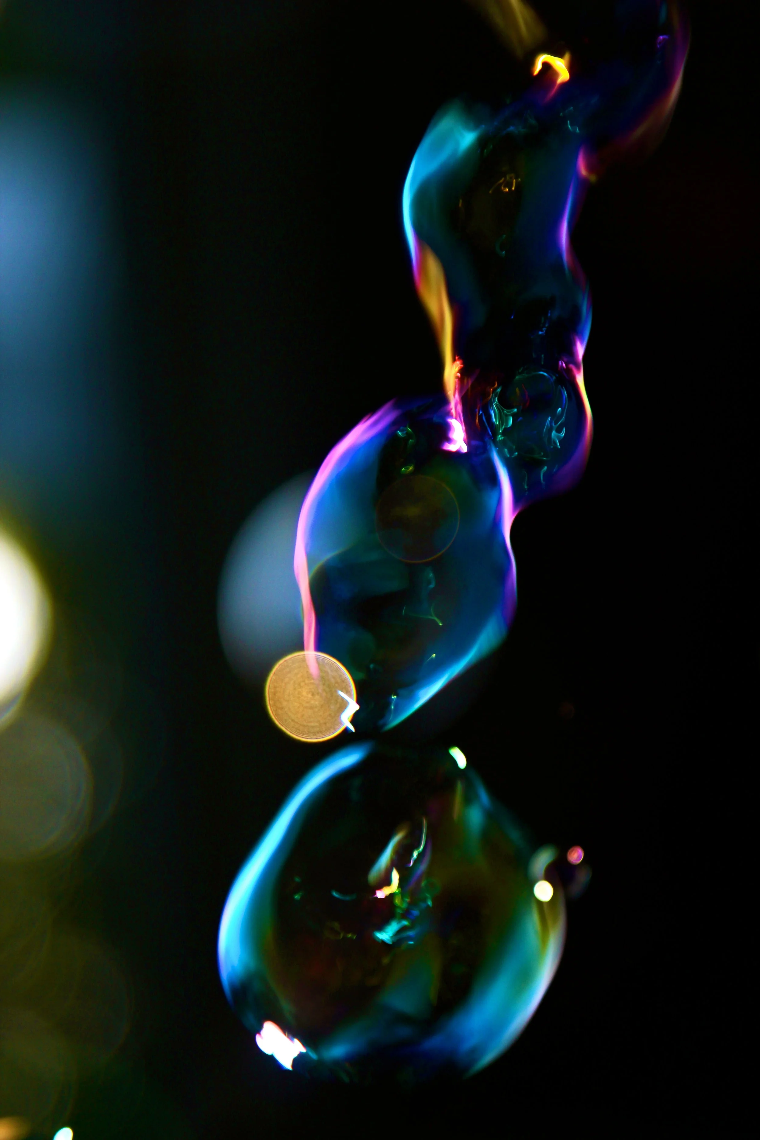 IMG_8995.JPG