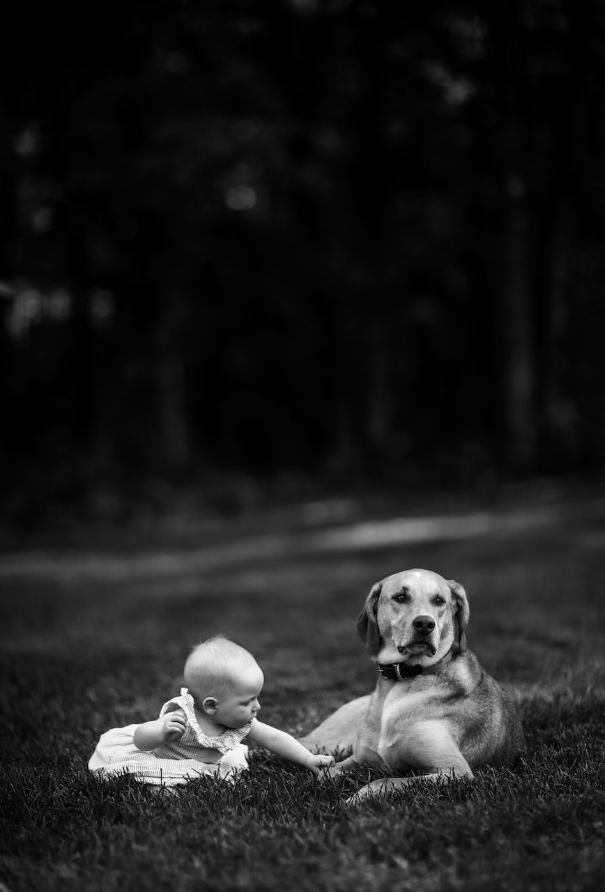 IMG_1331.jpeg