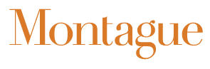 montague-logo-pms-7413c-01.png