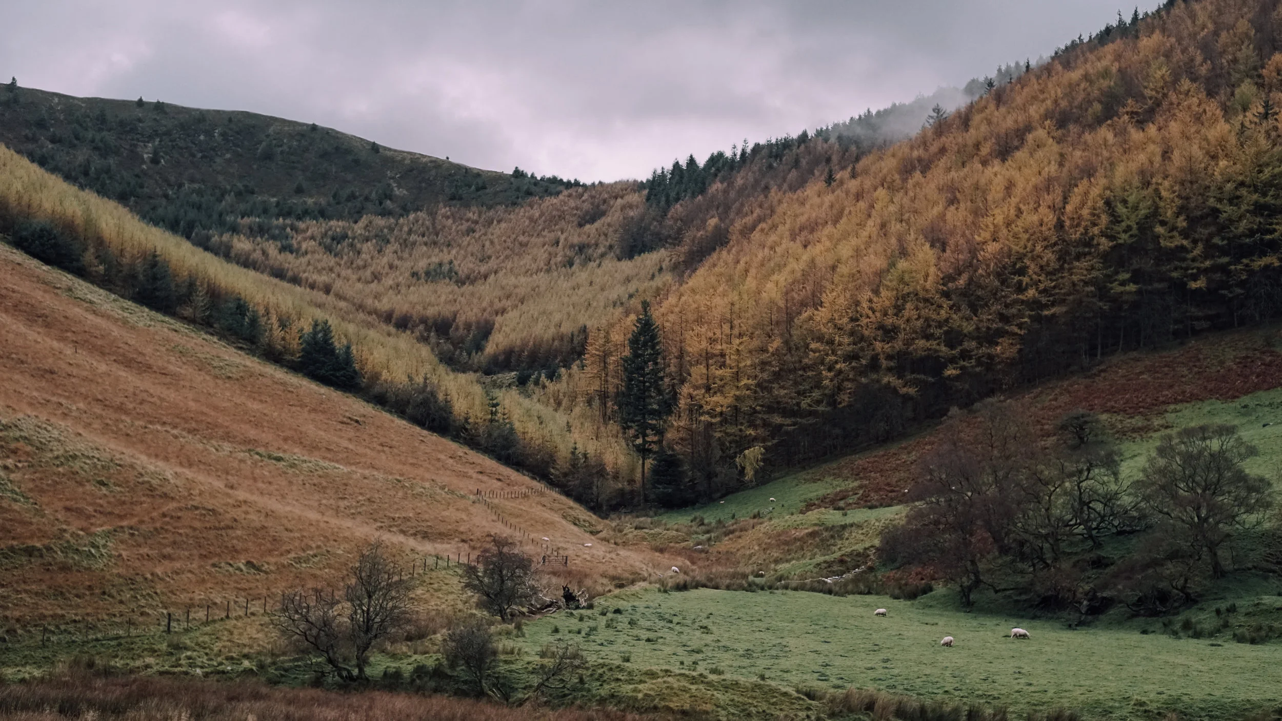 Snowdonia Autumn | Zeiss Lenspire