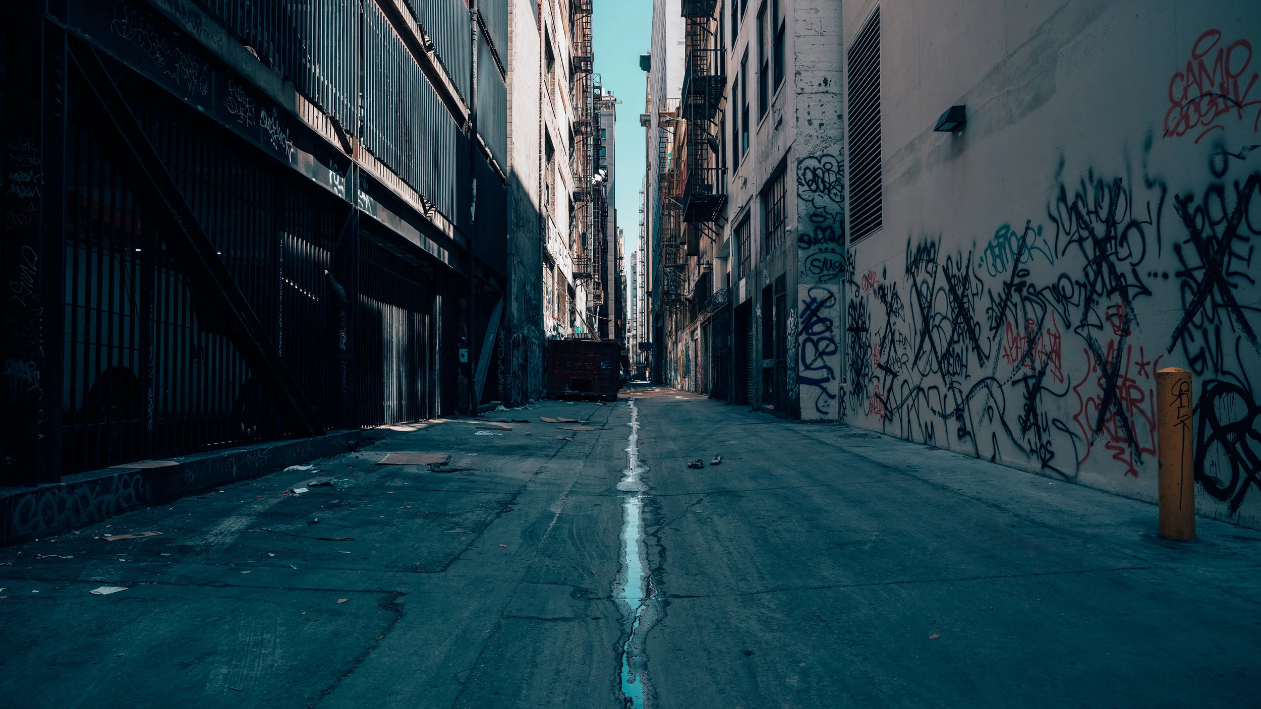 Downtown | Los Angeles | Zeiss Lenses