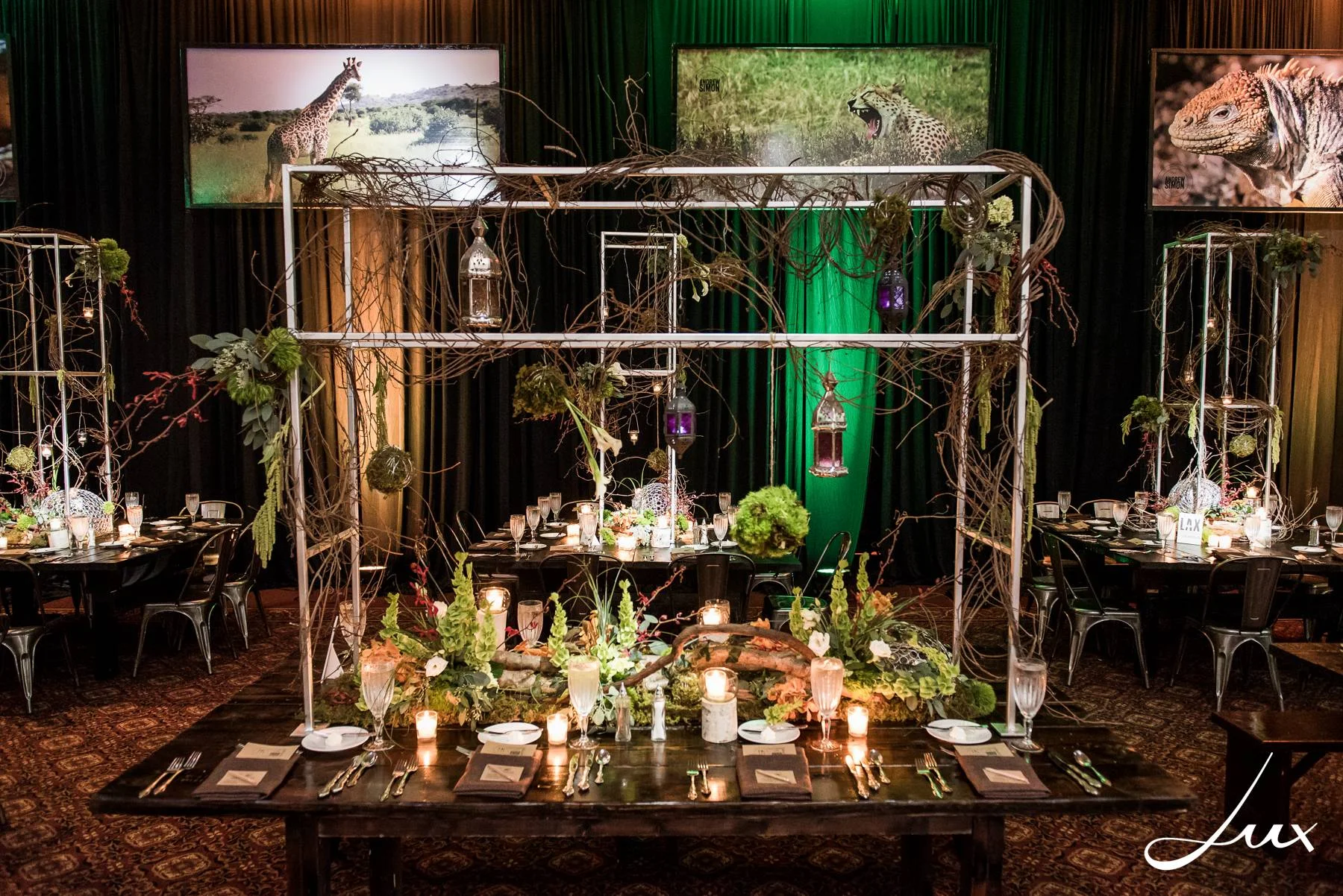 Travel Bar Mitzvah | Temple Beth Emet