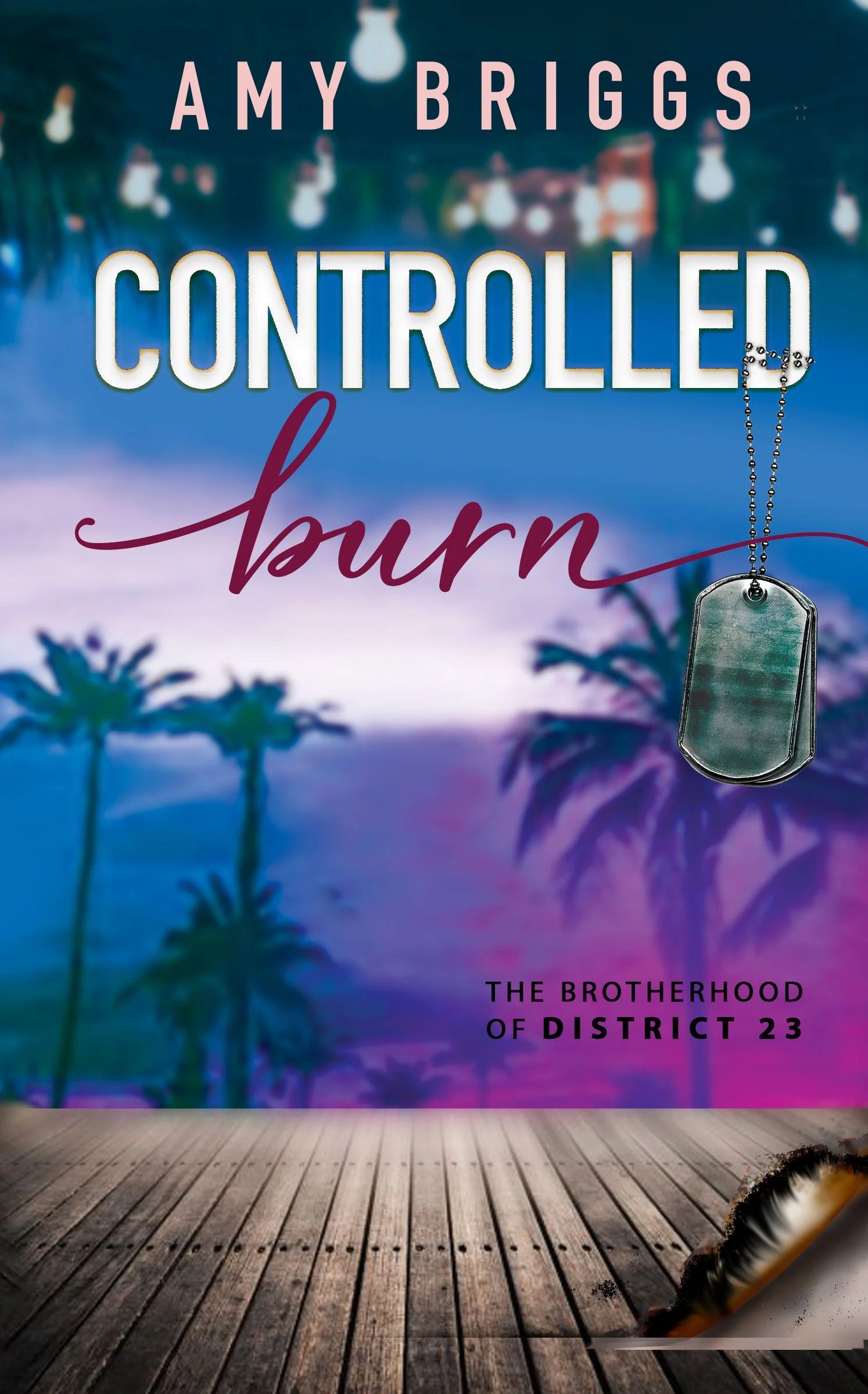 ControlledBurn_ebook.jpeg