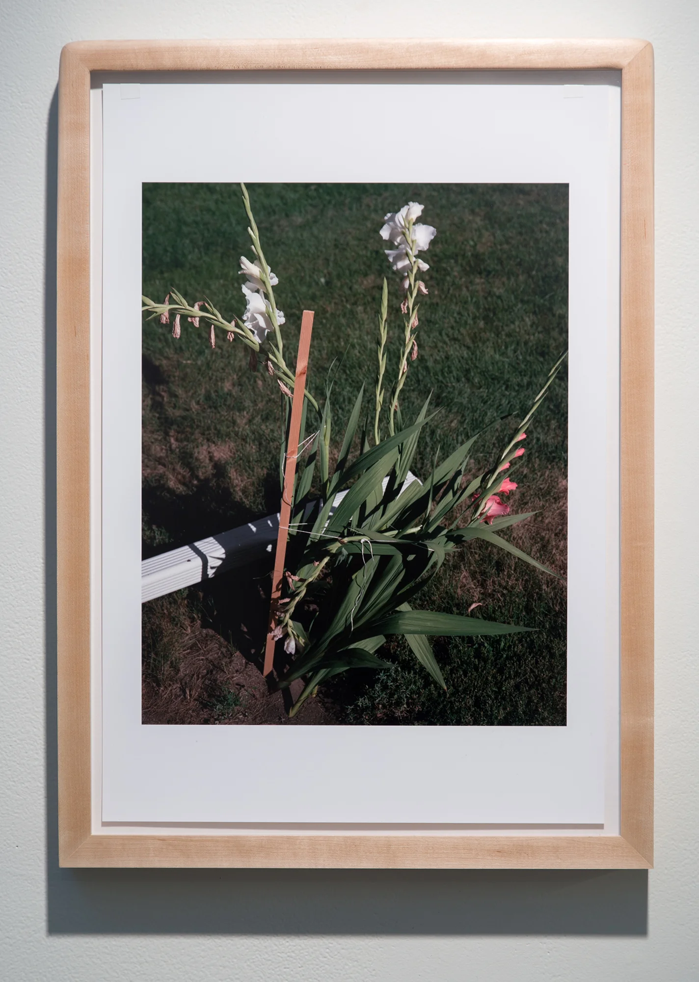 Heavy Flowers