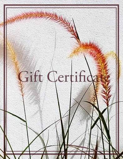 Gift Certificate