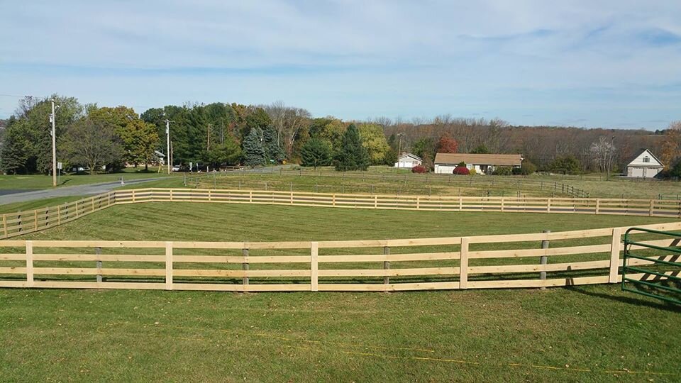 pasture fence4.jpg
