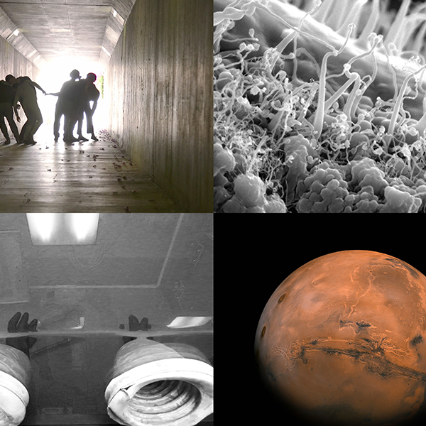 asw18_experience_microcosmos_v1.png