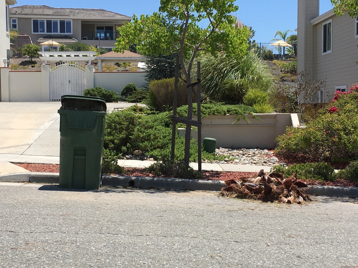 Yard Waste, Evergreen Neighborhood 2017