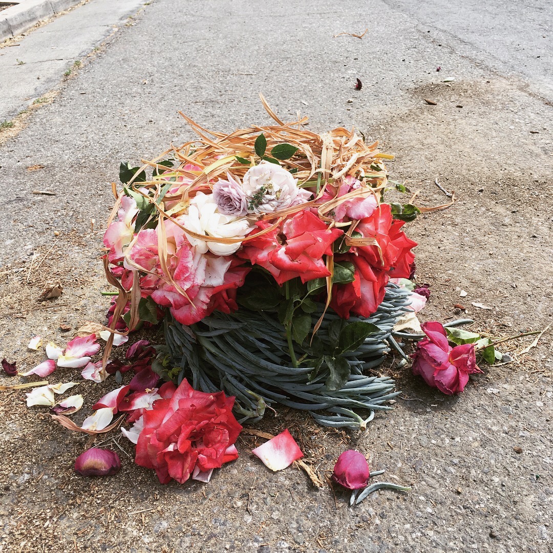 yard waste, Willow Glen neighborhood