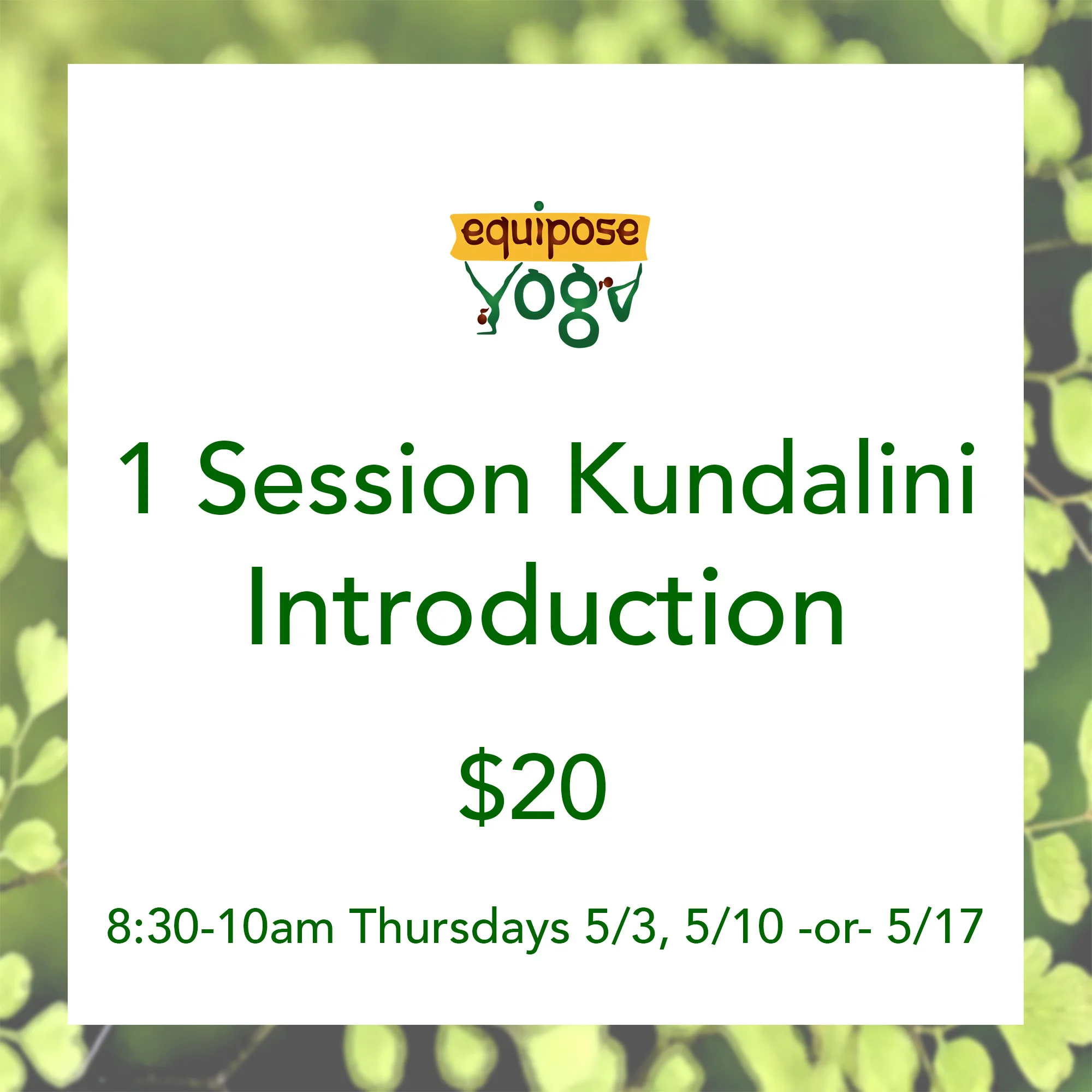 IntroKundaliniSINGLE.jpg