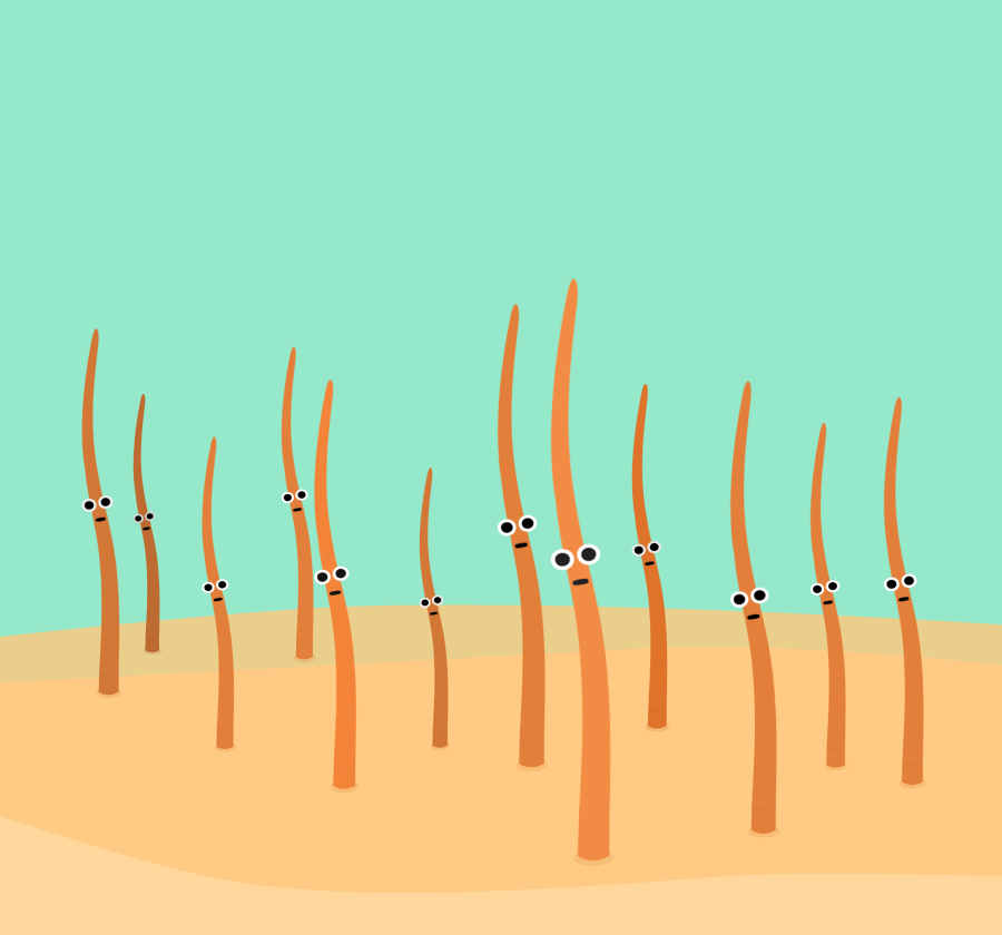 hair-shaving.gif