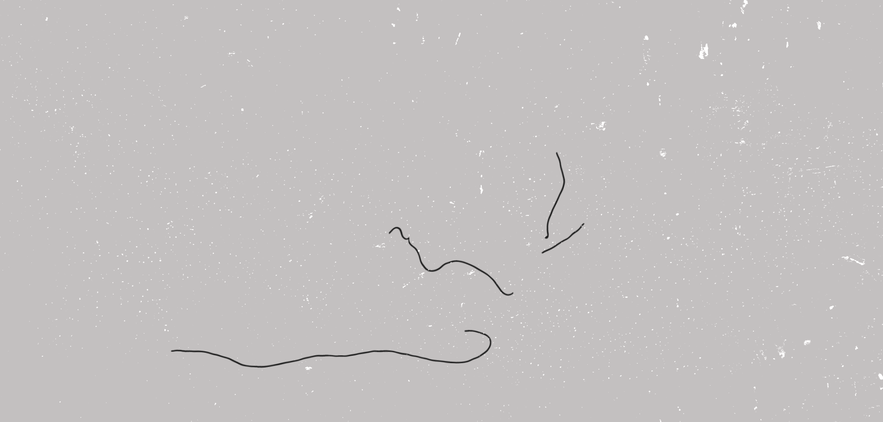 GIF-02.gif