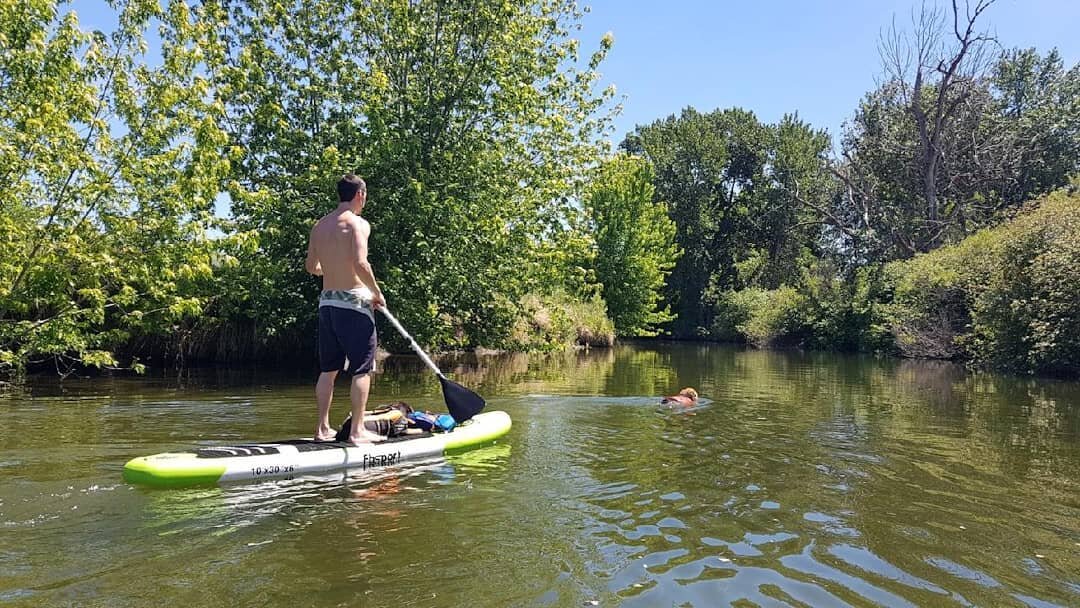 The next few days are gonna be a scorcher 🔥🔥! Luckily we got ya covered. Come rent you a paddle board to cool down and chill on the river. 📷 of two doggos swimming and relaxing on the Wenatchee River.