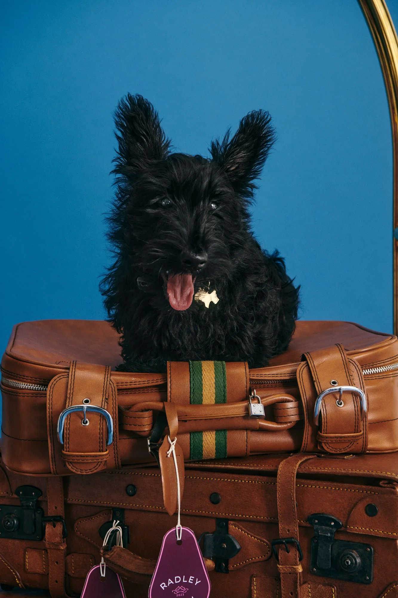 Radley