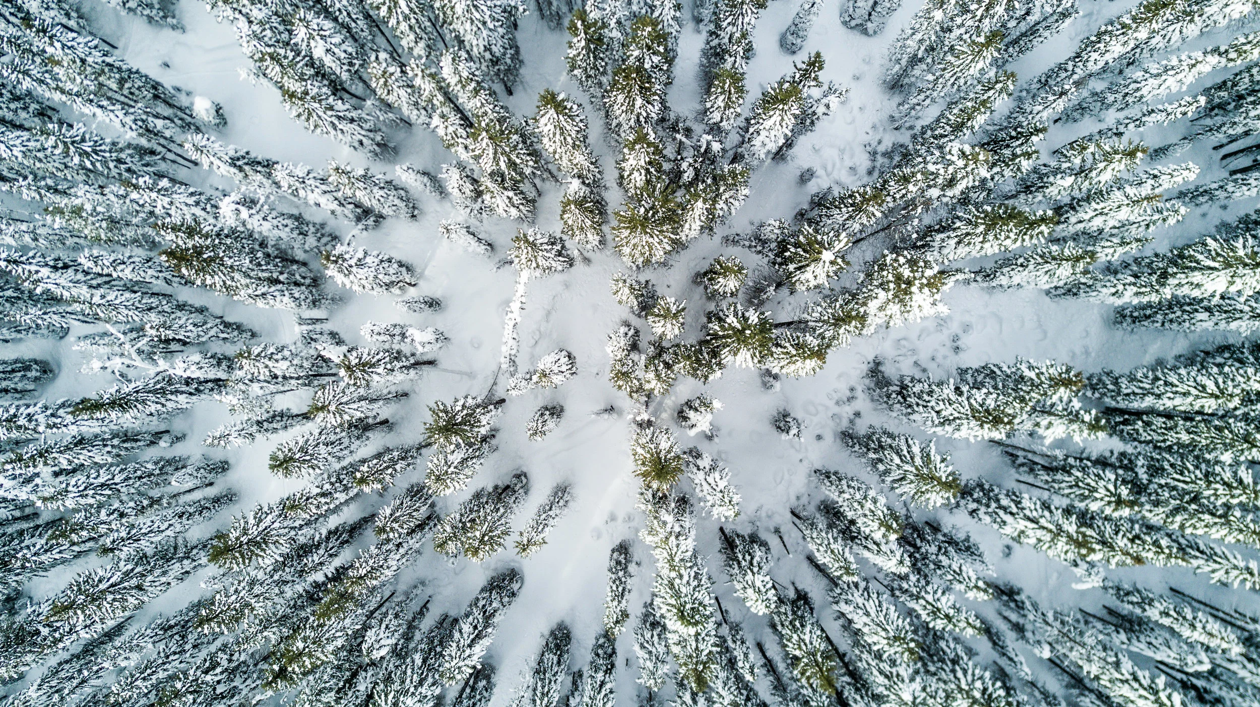 20170129-DJI_0120.jpg